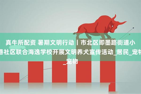 真牛所配资 暑期文明行动丨市北区即墨路街道小港社区联合海逸学校开展文明养犬宣传活动_居民_宠物