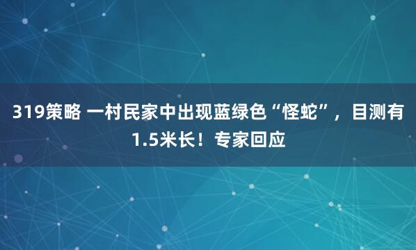 319策略 一村民家中出现蓝绿色“怪蛇”，目测有1.5米长！专家回应