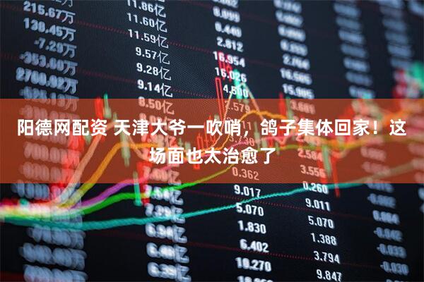 阳德网配资 天津大爷一吹哨，鸽子集体回家！这场面也太治愈了